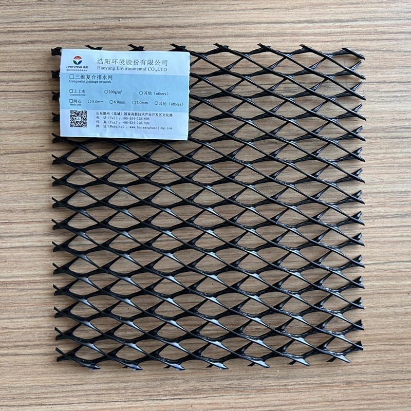 8mm black 3D composite drainage net riverbank reinforcement ls